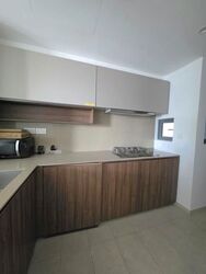 Shunfu Road (D20), Condominium #624078011